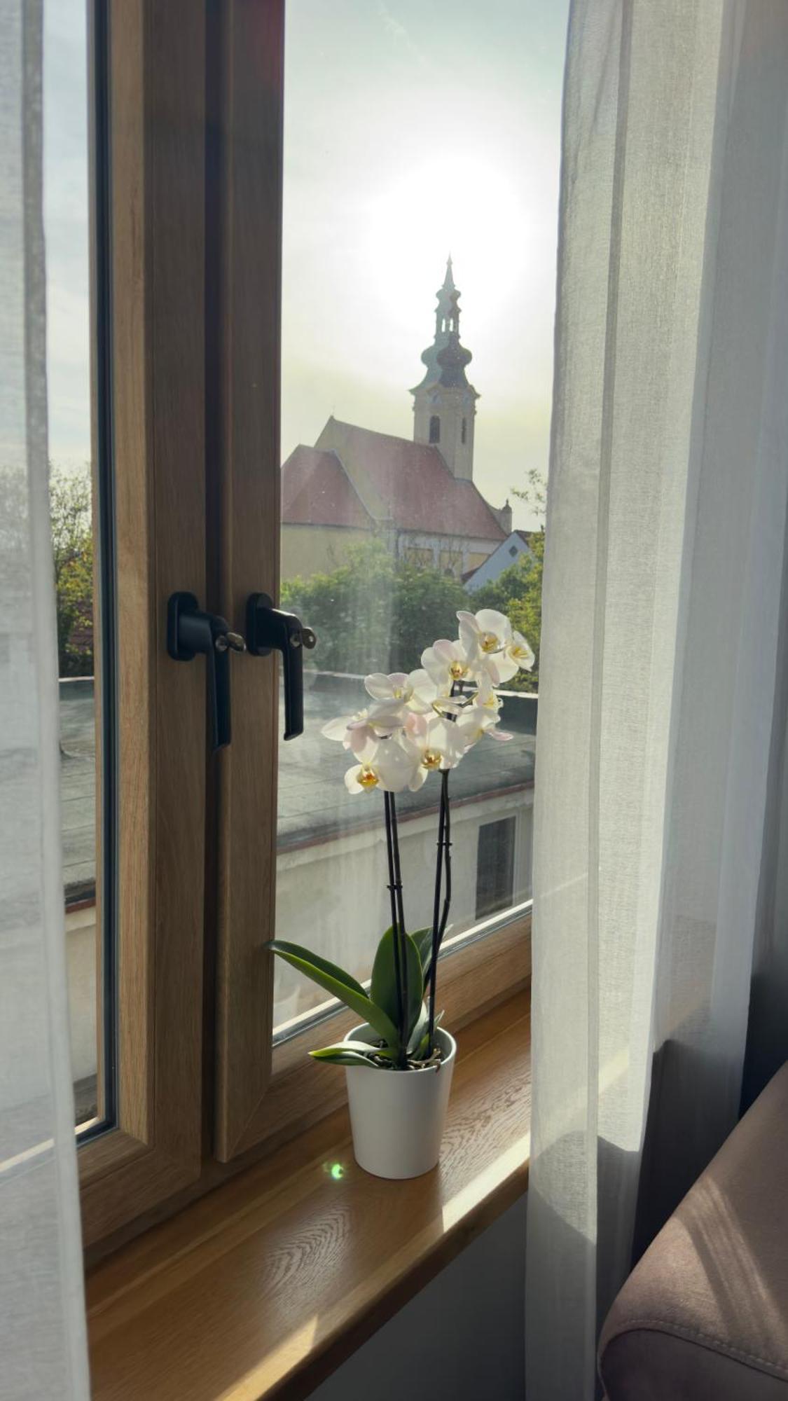 Villa Popice S Vyhledem Na Palavu Bagian luar foto