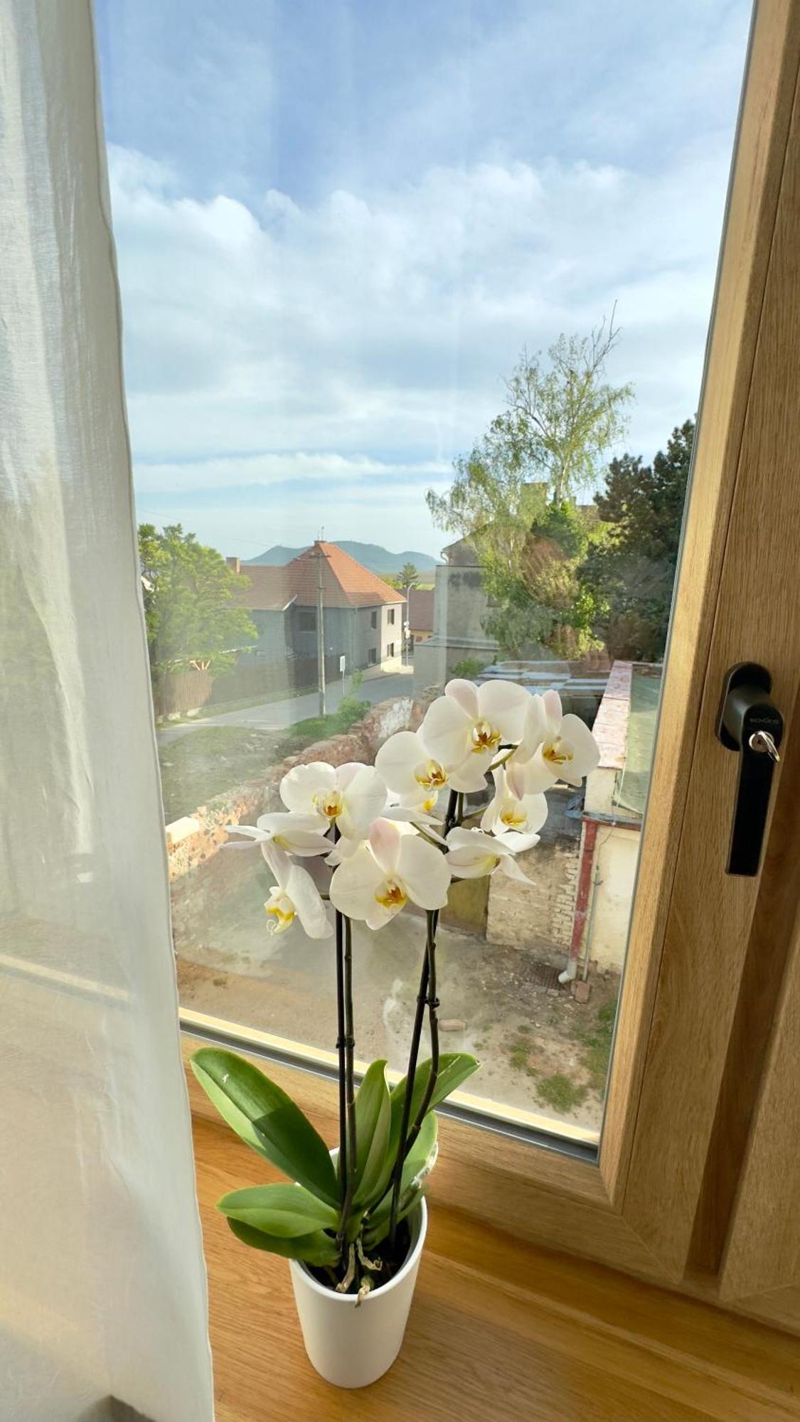 Villa Popice S Vyhledem Na Palavu Bagian luar foto